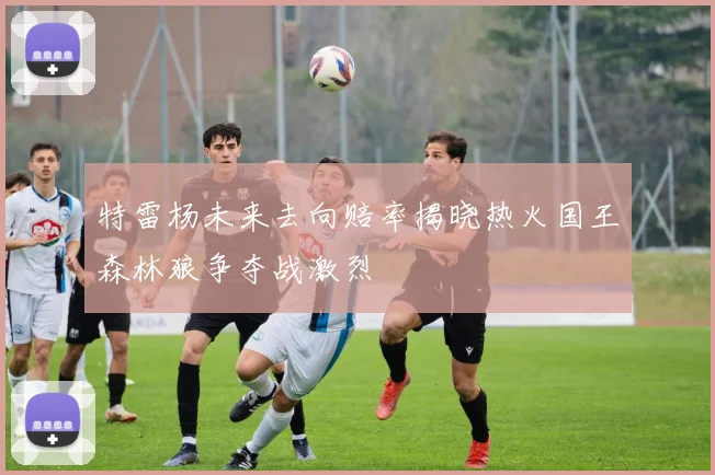 特雷杨未来去向赔率揭晓热火国王森林狼争夺战激烈