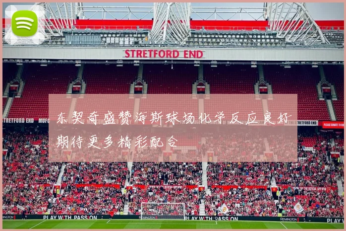 东契奇盛赞海斯球场化学反应良好期待更多精彩配合