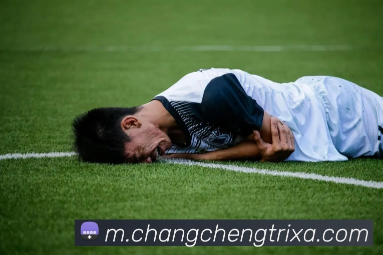 长城体育品牌故事