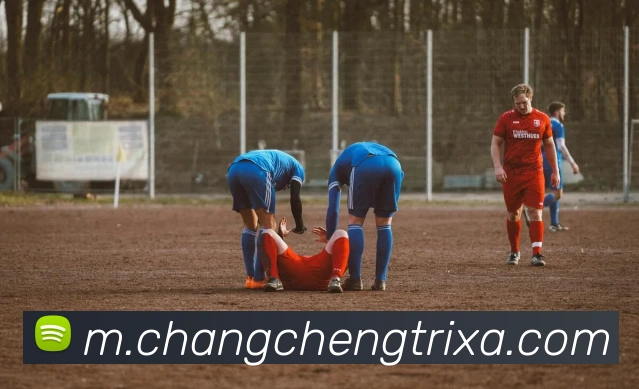 长城体育服务体系