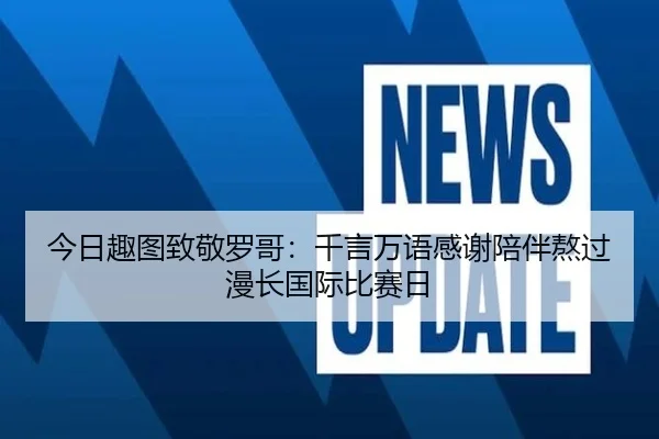 今日趣图致敬罗哥:千言万语感谢陪伴熬过漫长国际比赛日